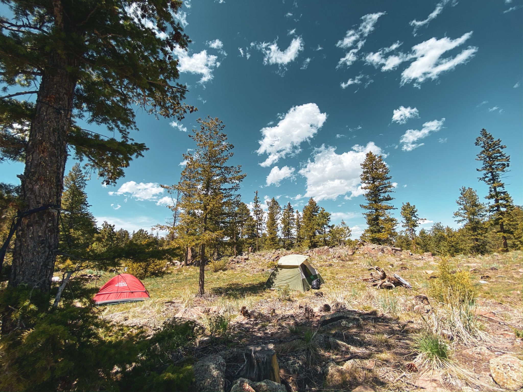 Guide to Camping & Hiking in Red Feather Lakes | Colorado Sundays